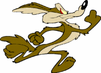 coyote