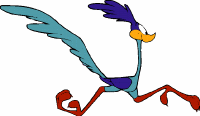 roadrunner